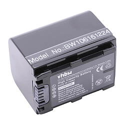 vhbw BATTERIE 950mAh pour SONY HDR-UX3 HDR-UX3E HDR-UX7 etc. remplace NP-FH60 NP-FH70 avec AFFICHAGE DE LA PUCE D'INFORMATION ET DU TEMPS RESTANT