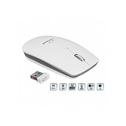 Esperanza EM120W souris RF sans fil Optique 2400 DPI