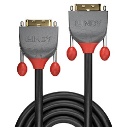 Lindy 36220 câble DVI 0,5 m DVI-D Gris