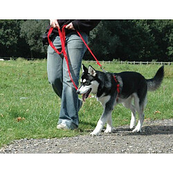 Halti Harnais pour Chien Anti-Traction Rouge et Noir Taille M