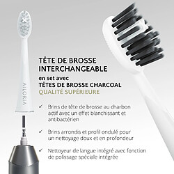 Acheter Ailoria SHINE BRIGHT Brosse à dents à technologie sonique USB