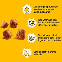 PEDIGREE Bouchées moelleuses au poulet pour chien 130g (6) pas cher