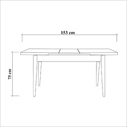 Avis Concept Usine Table extensible bois 6 personnes SANTI