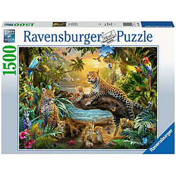 Ravensburger Puzzle Adulte Léopards dans la jungle - 1500p