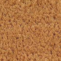 Acheter vidaXL Tapis de porte naturel 90x150 cm fibre de coco touffeté