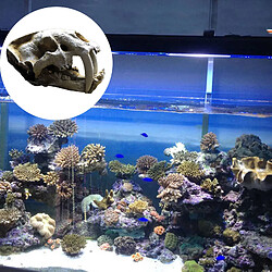 crâne modèle fish tank décor tête ornement