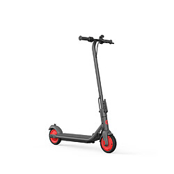 Patinete eléctrico Ninebot de Segway KickScooter ZING C20