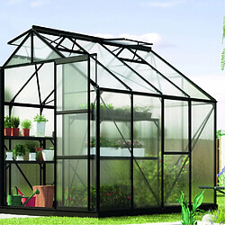 Vitavia Serre de jardin en polycarbonate 4 mm et aluminium noir avec embase Jupiter Longueur de 258 cm.