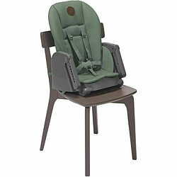 Avis Chaise haute Maxicosi Minla Vert