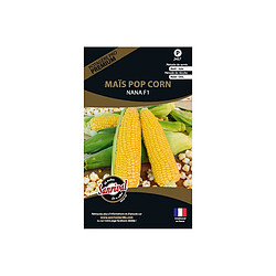 Sanrival Graines potagères premium maïs Pop corn