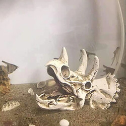 Acheter Universal Reptiles, amphibiens, grottes cachées, aquariums, dinosaures, triangles, squelettes.