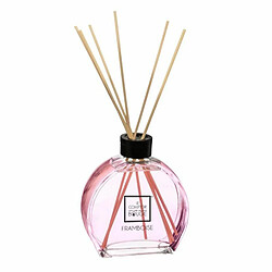 Diffuseur de Parfum & 6 Bâtonnets Haly 50ml Framboise