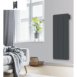 Acheter Carrera Radiateur Électrique Vertical LCD Céramique Gris Anthracite 1500W YOX VERTICAL