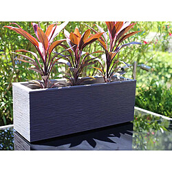 Balconnière rectangulaire Graphit Up 59 x 19,5 x 22,8 cm - 25 L - Gris anthracite - Eda