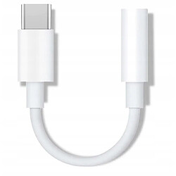 GUPBOO Adaptateur S20 S21 S22 USB-C Mini Jack 3.5mm,JL1261