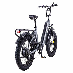 Vélo Électrique FAFREES F20 Master - Moteur 500W Batterie 1080WH Autonomie 110KM - Gris bronze pas cher