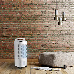 Trotec Rafraîchisseur d'air de 3L 3 en 1 utilisable en intérieur et en extérieur 45w