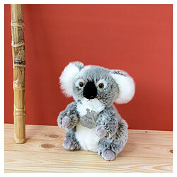 Avis Histoire d'Ours Histoire Dours Koala Authentique 20cm