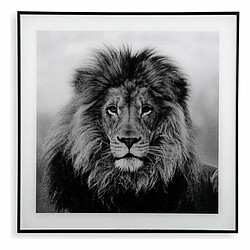 Cadre Versa Lion Verre (2 x 50 x 50 cm)