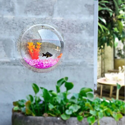 Acheter Universal Bol de poisson acrylique 3D pour aquarium pour animaux de compagnie aquatiques Batta Fish Golden Fish Factory Transparent Suspension Tank Home Decoration | Aquarium Tank