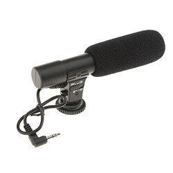 Microphone d'enregistrement d'appareil-photo