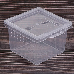 40pcs En Plastique Transparent Insecte Araignée élevage Contenant De La Boîte D'alimentation Vide