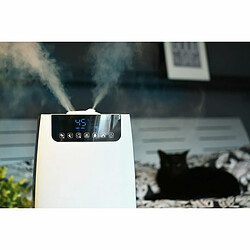 Avis Humidificateur Blaupunkt AHS802