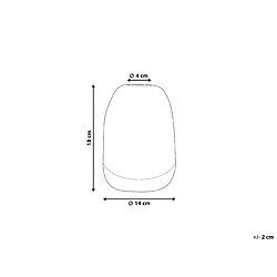 Avis Beliani Vase à fleurs FYSKA Verre 18 cm Gris foncé