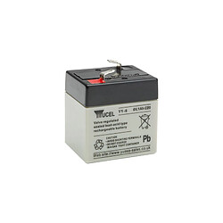 Yuasa Batterie Y1-6