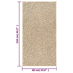 vidaXL Tapis ZIZUR 60x110 cm aspect de jute intérieur et extérieur pas cher