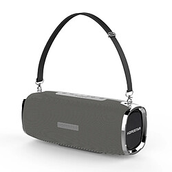 Wewoo Enceinte Bluetooth étanche gris Mini Portable Sans Fil Haut-Parleur, Micro Intégré, Soutien AUX / Main Appel Gratuit / FM / TF