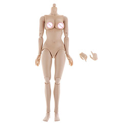 2pc 1/6 Figurines De Corps Féminin Flexibles Jouet Peau Normale Pour TTM18 TTM19 2 Grand Buste