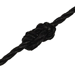 Acheter vidaXL Corde de travail Noir 6 mm 100 m polypropylène