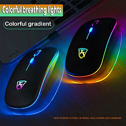 Universal 2.4GHz LED Wireless Wireless Mouse Mouse PC Portable Bobine optique(Le noir) pas cher