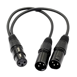 Câble d\'extension audio Cordon Y