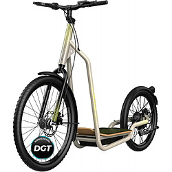 Trottinette électrique Cecotec