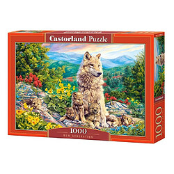 Castorland Puzzle 1000 pièces : Nouvelle génération