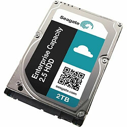 Seagate Technology Seagate Exos 7E2000 ST2000NX0243