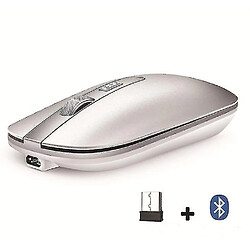 Universal 2,4 g souris sans fil, rechargeable Bluetooth 5.0 Gaming Optical Mouseï¼ˆsilverï¼ ‰