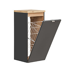 Vivaldi CAPRI COSMOS 811 ARMOIRE AVEC PANIER À LINGE