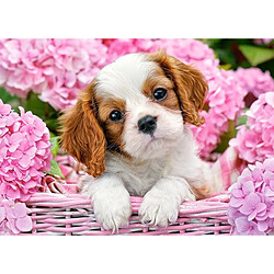 Pup in Pink Flowers, Puzzle 180 Teile - Castorland