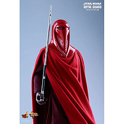 Hot Toys MMS469 - Star Wars 4 : Return Of The Jedi - Royal Guard pas cher