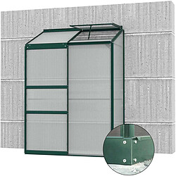 Vitavia Serre de jardin en polycarbonate 4 mm et aluminium vert emeraude avec embase Ida 68.8 x 130.60 x 182.30 cm.