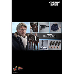 Hot Toys MMS374 - Star Wars : The Force Awakens - Han Solo