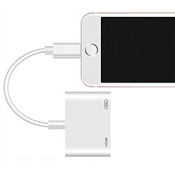 GUPBOO Adaptateur Lightning HDMI pour iPhone iPad,JL1044