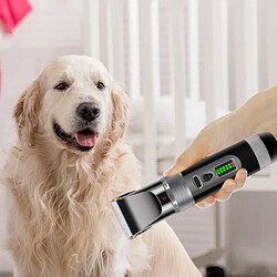 Tech Discount Rasoir électrique pour animaux de compagnie affichage batterie chat et chien ensemble de tondeuse à cheveux sans fil