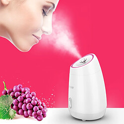 Avis Wewoo Maoer Fruit Légumes Facial Visage Vapeur Ménage Spa Beauté Instrument Thermal Nano Vaporisateur Eau Blanchiment Machine Rose