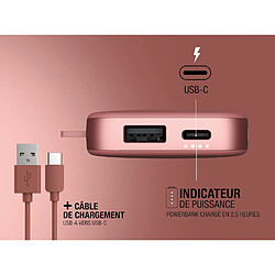 SANAG Powerbank 6000 Mah - Usb-C In & Out - Batterie Externe - Chargement Rapide - 6 Fonctions De Sécurité - Design Compact (Safari Red) pas cher