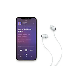 Avis Apple Beats Écouteur sans Fil Beats Flex Gris