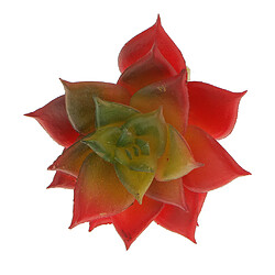 Avis Artificial Succulent Réel Tactile Lotus Fleur Plante Herbe 7cm Rouge